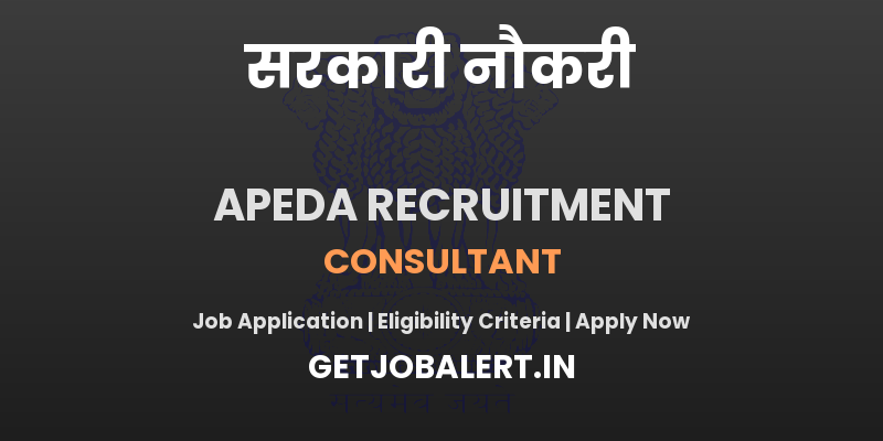 APEDA Consultant Recruitment 2025 - Apply Offline for 01 Posts