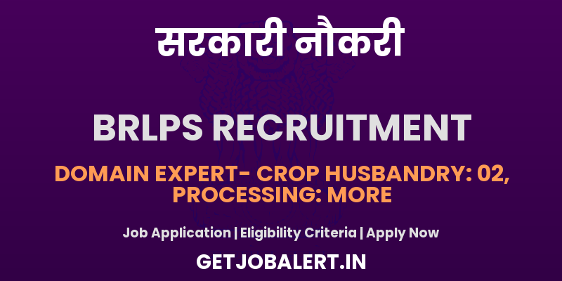 BRLPS Domain Expert Recruitment 2025 - Apply Online for 16 Posts