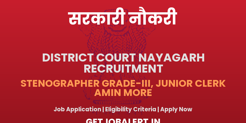 District Court Nayagarh Stenographer, Junior Clerk, Other Recruitment 2025 - Apply Offline for 18 Posts
