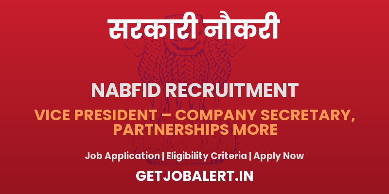 NaBFID Vice President Recruitment 2025 - Apply Online for 2 Posts Before June 20