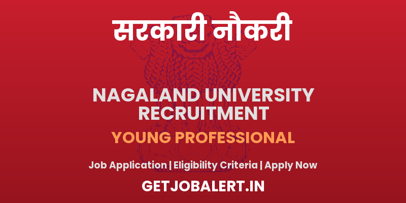 Nagaland University Young Professional Recruitment 2025 - Apply Offline for 01 Posts