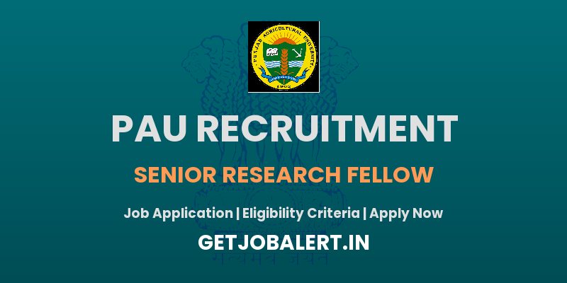 PAU Recruitment 2025: Apply for Senior Research Fellow Position