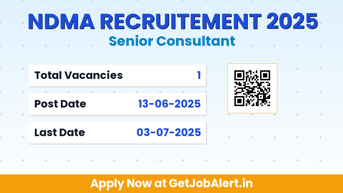 NDMA Senior Consultant Recruitment 2025 - Apply Online for 01 Posts
