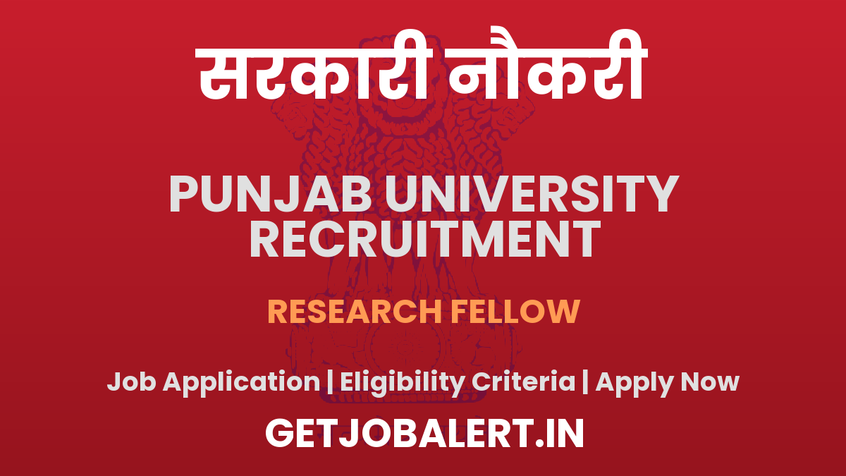 Punjab University Research Fellow Recruitment 2025 - Apply Offline for 01 Posts